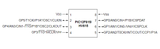 PIC12F615-I/P CMOS Microcontrolador Microchip