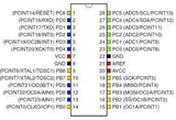 ATMEGA328P-PU