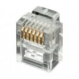 Conector Plug RJ12 6 Hilos