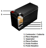 Batería Recargable Sellada 6 VCD 12 A/h